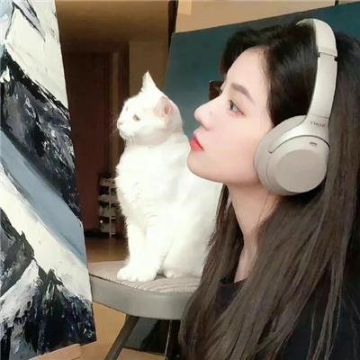 嘉南传